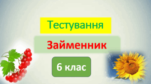 ГР 4. Діагностична (контрольна) робота №8. Займенник як частина мови (тестування)