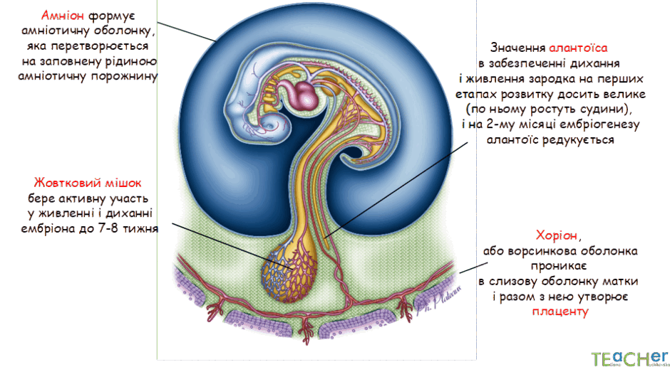0800nbx6-709f-940x516.png