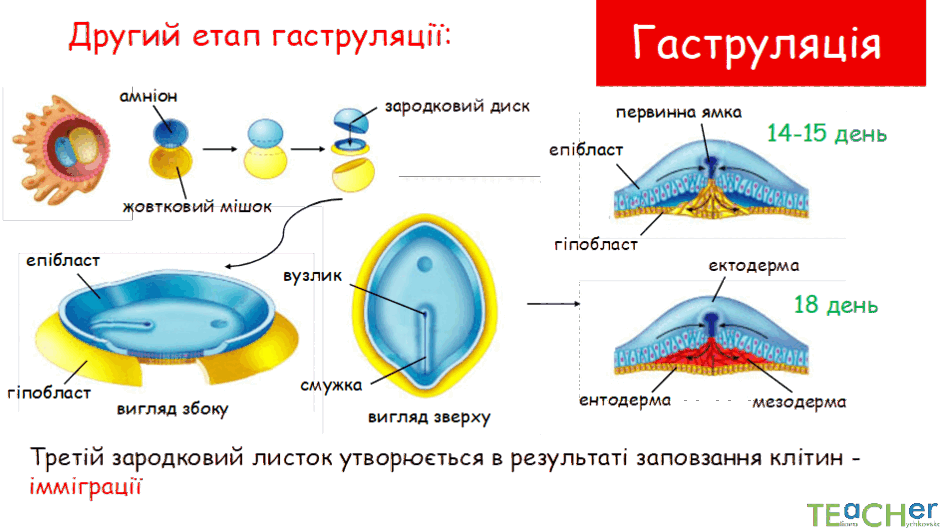 0800nc4b-0aef-940x528.png