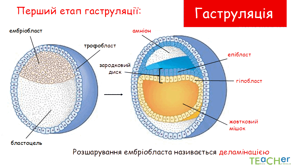 0800nc4m-5e51-939x532.png