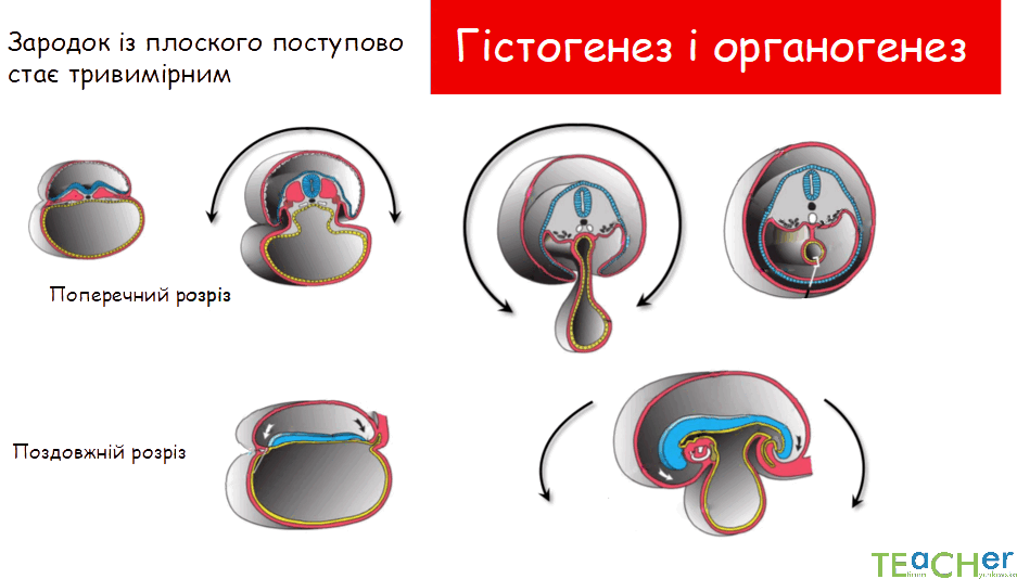 0800nc50-7039-937x534.png