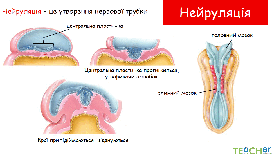 0800nc53-7f45-937x534.png