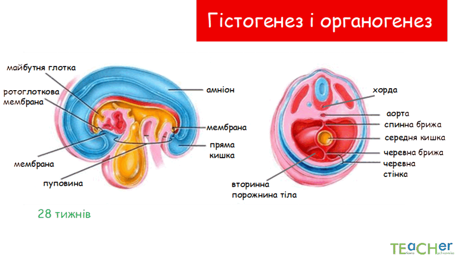0800nc5g-27f7-940x526.png