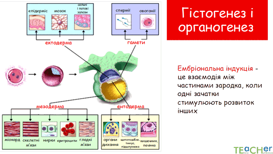 0800nc5w-fd5b-940x530.png