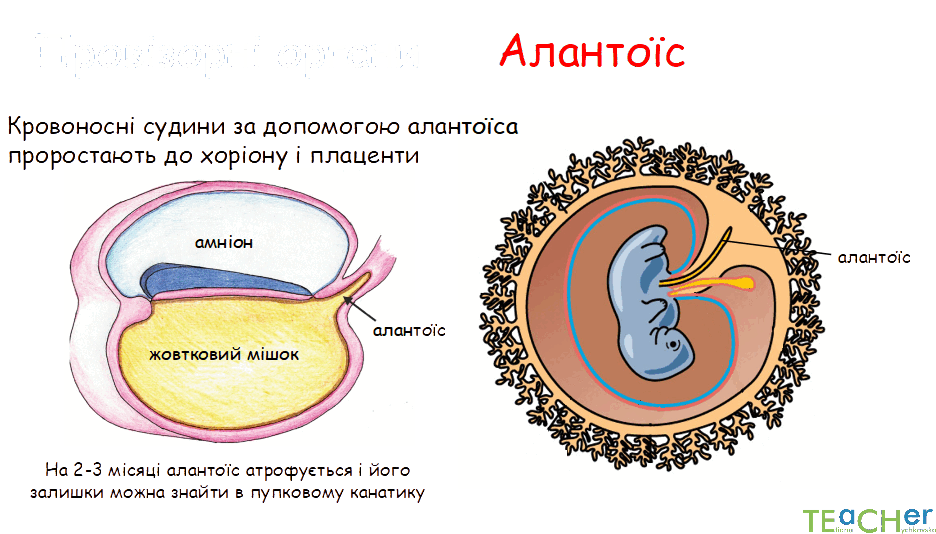 0800nc7c-a801-936x534.png