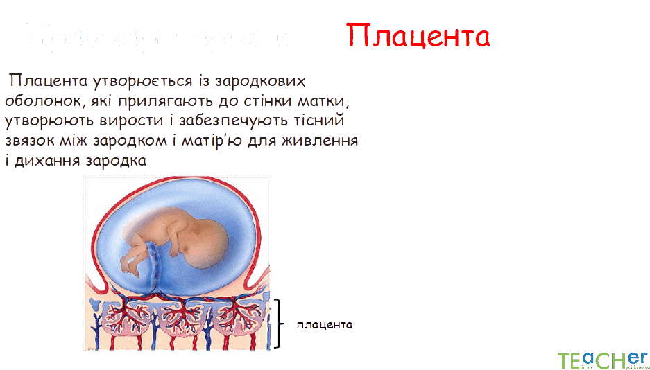 0800nc7t-44e3-937x534.png