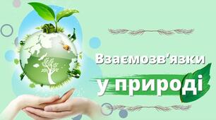 " Взаємозв`язки у природі"
