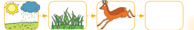 0800nf8f-266e-675x106.png