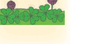 0800nf9g-fc15-168x88.png
