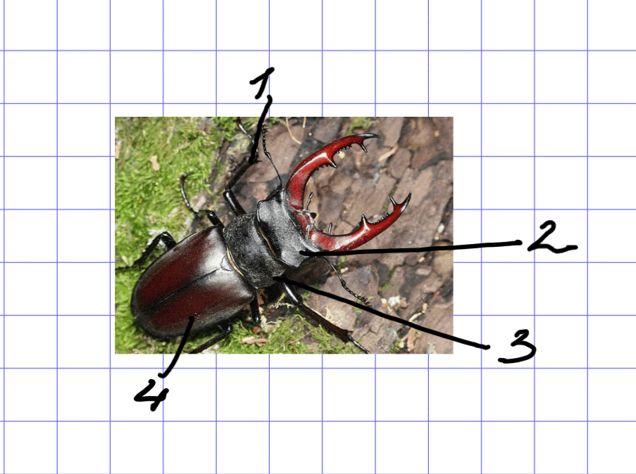0800nggy-e253-903x674.png