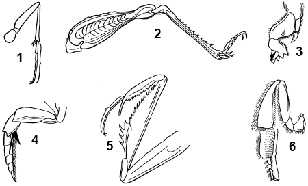 0800njrz-e058-711x430.png