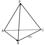 0800nl49-97b5-183x186.png