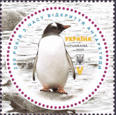 0800nl8t-6844-230x229.png