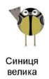 0800nmo9-d973-70x111.png