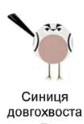 0800nmok-fff2-84x124.png