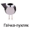 0800nmop-7fb1-108x107.png