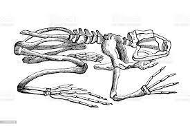 0800nnkl-4207-275x183.jpg