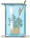 0800npk1-66b1-100x126.png