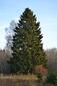 0800nuh6-b805-57x86.jpg