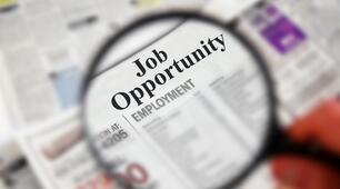 Job opportunities #