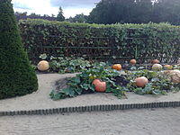 200px-Vegetables_de_Chenonceau_2008.jpg