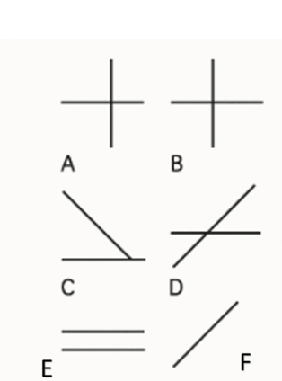 0800nvgx-1bbf-314x424.png