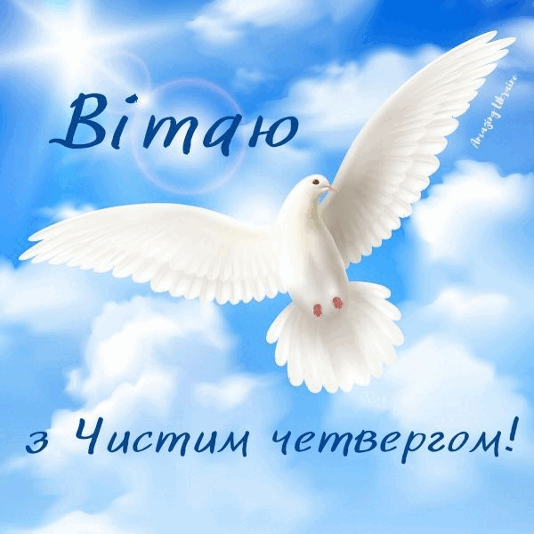 0800nwf0-c534-600x600.png