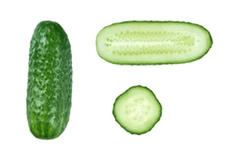 0800o1l4-5149-259x178.png