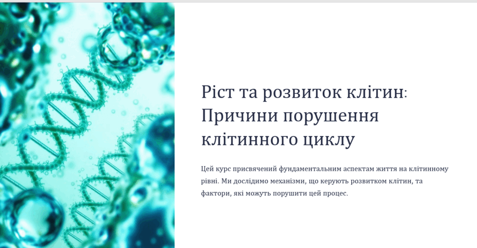 0800o4l0-e943-940x488.png