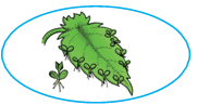 0800o5wp-e2d0-182x97.png