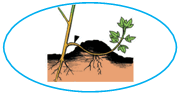 0800o5ww-d112-182x93.png