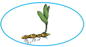 0800o5x2-eb16-179x97.png