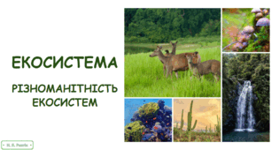 Презентація на тему "Екосистема.  Різноманітність екосистем" . 9 клас