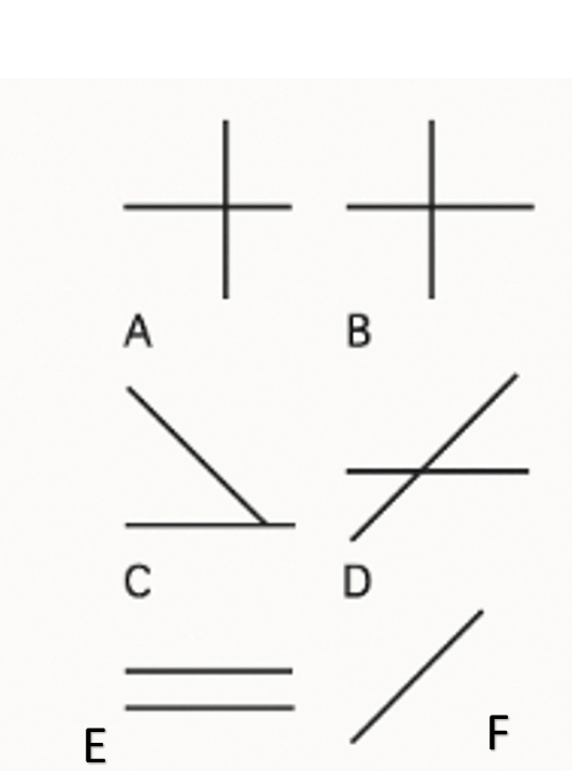 0800o6sj-9b64-527x711.png