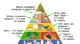 Конспект  уроку "Чим корисна їжа" для 3 класу