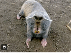 0800ohj6-95bb-239x177.png