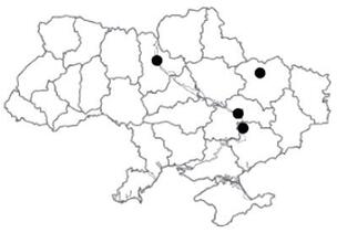 0800oikt-c117-304x211.jpg