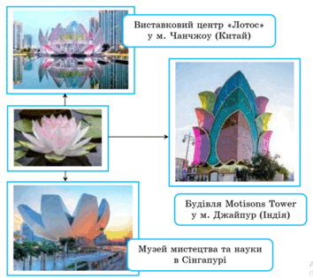 0800ojzn-114d-217x193.png