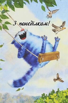 0800okqt-764e-288x434.jpg