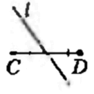 0800olyc-2032-136x137.png