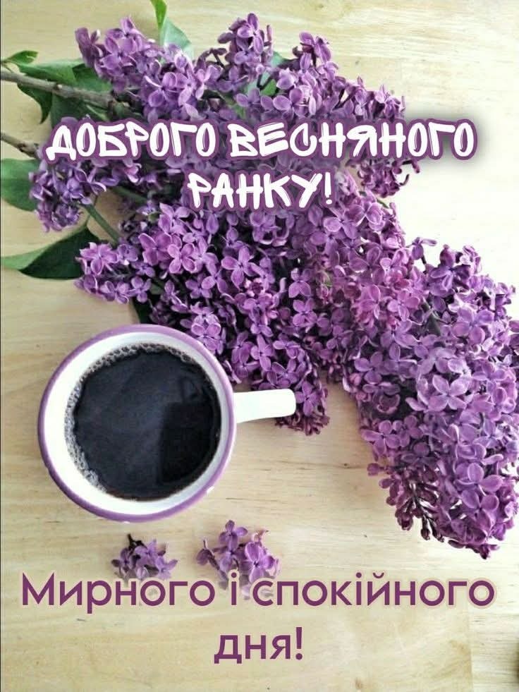 0800on66-193d-736x981.jpg