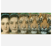 0800oqxs-4d58-104x90.png