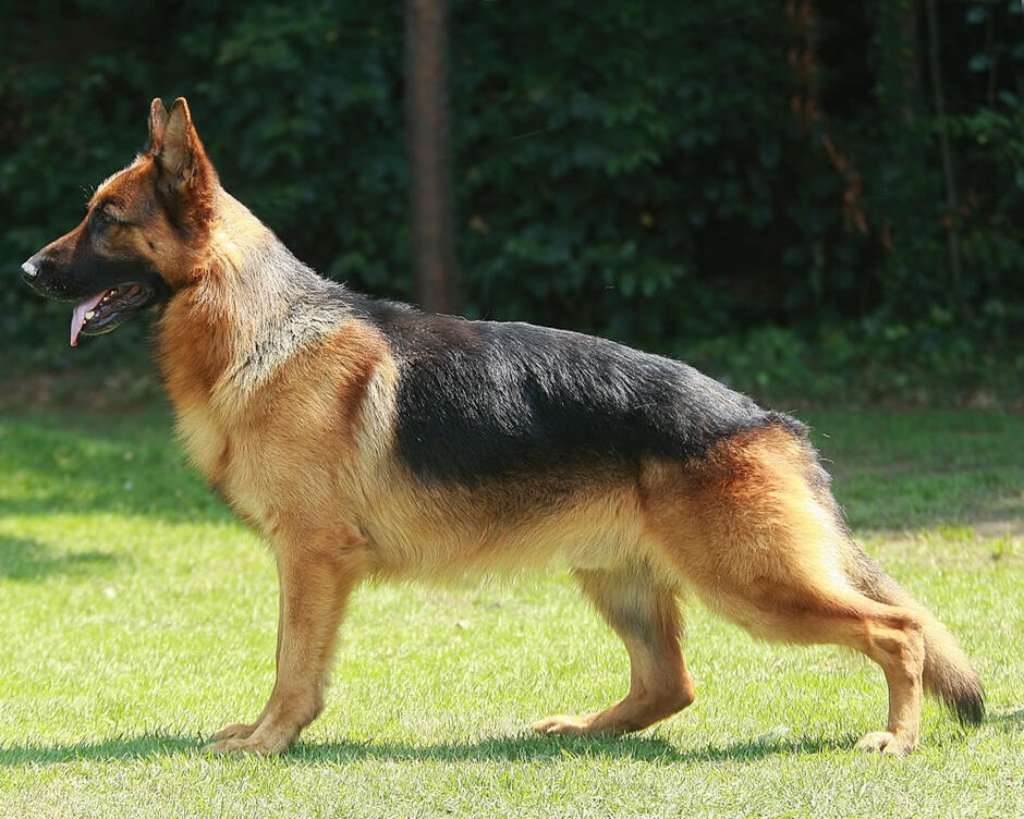 0800ovlx-048b-940x752.jpg