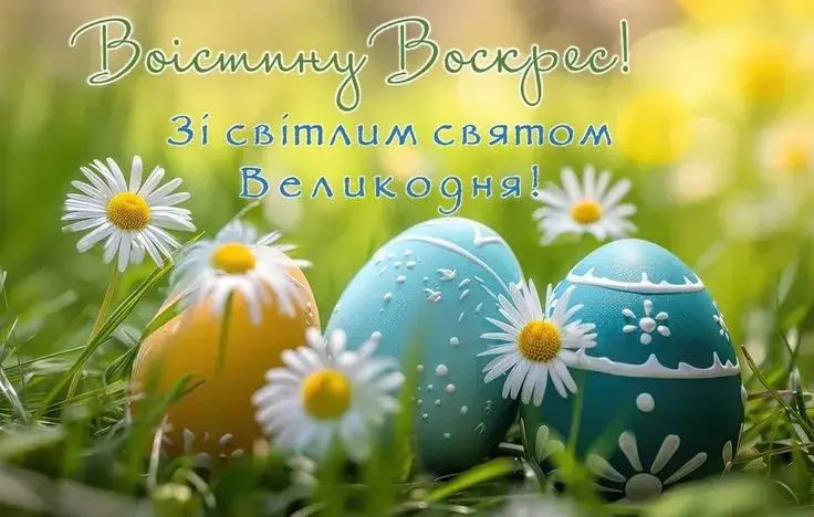 0800oz7l-0574-736x468.webp