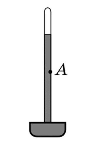 0800p00i-13a7-316x509.png