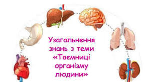 Таємниці організму людини