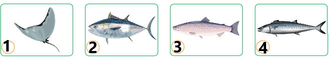 0800p63f-5654-659x114.png