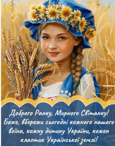 0800p69r-e630-441x561.png