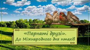 Презентація «Пернаті друзі»