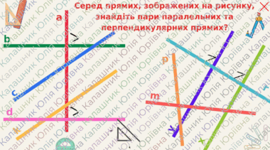 0800petn-0787-380x211.png